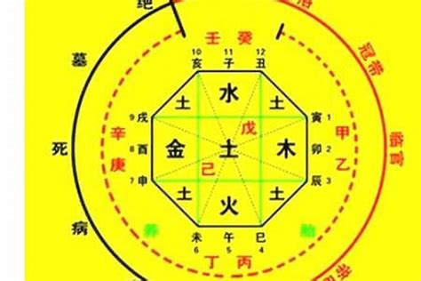 八字喜忌查询|八字喜忌查询,免费测八字喜忌,免费测五行八字查询器